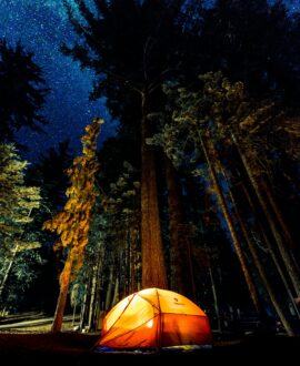 CAMPING